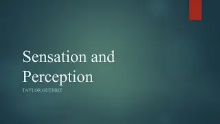 Cognitive Neuroscience of Sensation and Perception - Taste, Smell and Touch