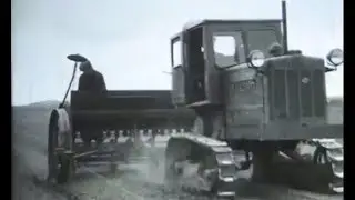 КДП-35 трактор. На посеве кукурузы. (1955).