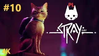 Stray [4K] [PL] # 10 Infiltracja NECO corp wraz z ucieczką z więźnia