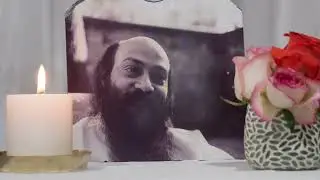Satsangs portraits