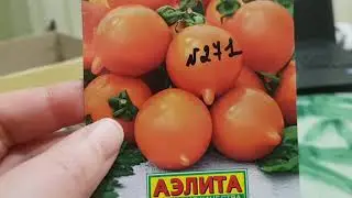 Семена томатов на 2022, ну или 2022+5   (часть 1)   3.12.2021