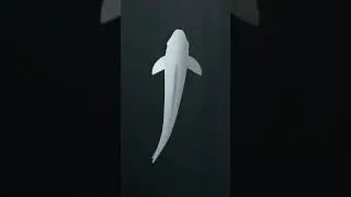 Hello. I'm working on creating a new fish animation from simple shapes #fish #cartoon #aftereffects