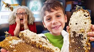 ¡El rescate de abejas salió MAL! ¡Encontramos AVISPAS!