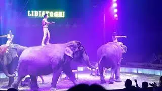 I Gartner al circo Lidia Togni Fisciano (Sa) 2024