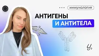 Иммунология | Антигены и антитела