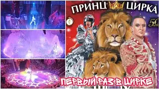 Принц цирка Шоу Фонтанов/ Цирк в Воронеже/ Мечта детства/ Влог