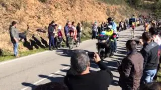 Volta Algarve - Malhão
