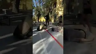 They Broke Their Back
