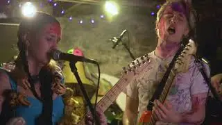 Salty Greyhound - 
