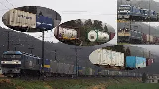 東海道本線 貨物撮影記　2024.3.23
