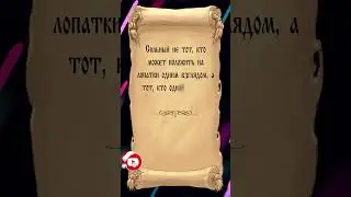цитата №61 