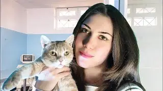 ASMR ROLEPLAY VETERINARIA | Visita Medica al Gatto | Dottoressa Givri