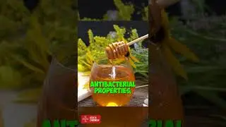 MANUKA HONEY vs RAW HONEY 