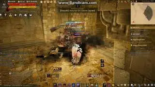 blackdesert  Ниндзя - Анакреон , нужно больше меткости