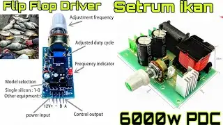 555 Timer Circuit Projects| Electro fishing 12 V to 600 V|Adjustable frequency inverter|#ViralVideo