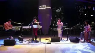Animal - Neon Trees (COVER)