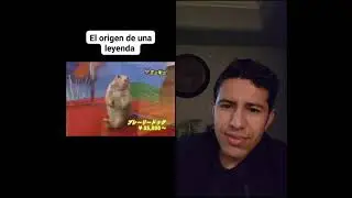 Origen del meme de la marmota