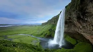 Nature 3D Animation | By Search Effect | VFX | Animation | No copyright | 3D scenery | Free download