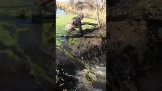 Creek Dam Dismantling! Tons of Water!