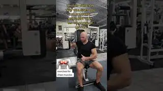 Pec-dec chest flyes #shorts