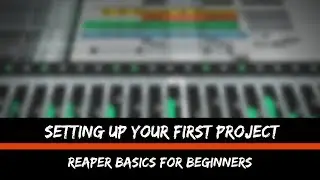 Setting Up Your First Project | Reaper Basics For Beginners