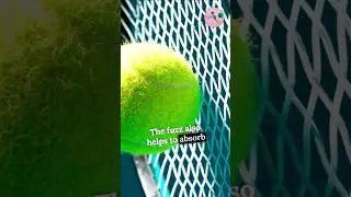 Why Tennis Balls Are Fuzzy ???