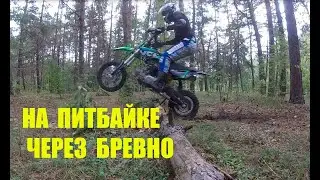 На питбайке YCF Pilot F150 через бревно! Мотопокатушки #4