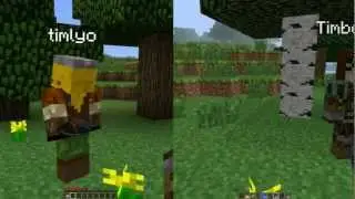 [Minecraft]-Plugin-Punishmental Review