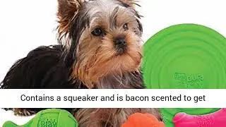 Hartz DuraPlay Bacon Scented Dog Toys