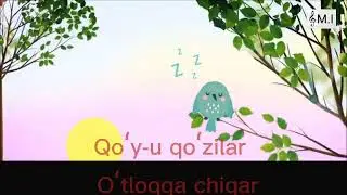 Yomgʻir yogʻaloq