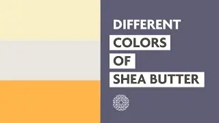 Different Colors of Shea Butter (With Funlayo Alabi)