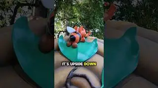EVERY Hidden Mickey on Winnie The Pooh at Disneyland! #shorts #disney #hiddenmickey