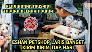 CARA KIRIM MUSANG KE SELURUH DUNIA ❗❗ ESHAN PETSHOP LARIS BANGET