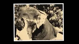 Panjabi MC - Mundian To Bach Ke (Classic Global Indian Bhangra Folk Hop World Music Rmx)