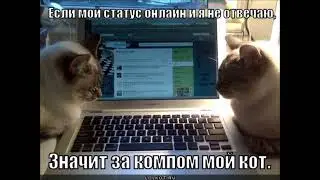 Как будто вся жизнь понарошку