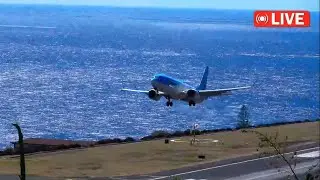2 GO AROUND TAILWIND BY THE SAME PLANE B737 MAX8 At Madeira Airport ✈️