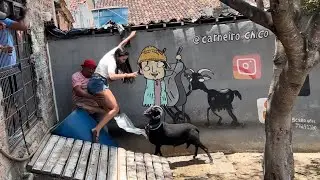 EU E BIRO TOMAMOS NO PAPEIRO COM O CARNEIRO CHICO
