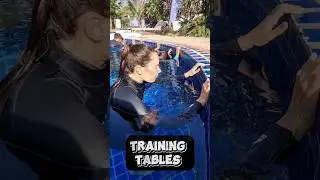 BEST FREEDIVING TRAINING FOR BEGINNERS