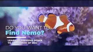 NAUI Free diving course - 21 November 2020