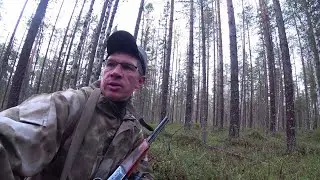 Утром слышу странный чей то лай. Бобры закрыли озеро. Потерял собаку. 8 серия.
