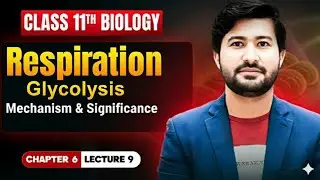Respiration explained | Glycolysis explained | Class 11 biology chapter 6 | Irtisams Biology
