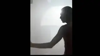 THE WILDEST DREAM