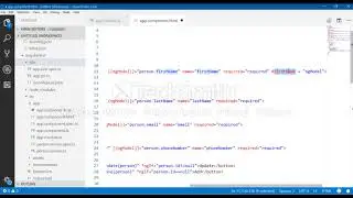 angular 5 Template Driven Form Validations