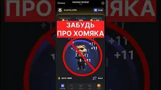 Не трать время на Hamster Kombat 