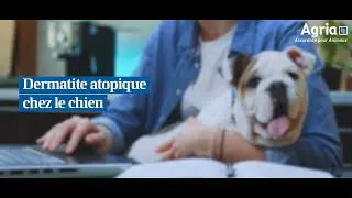 AGRIA - Dermatite atopique du chien