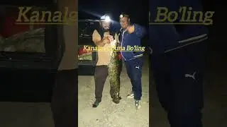 Katta Laqqa Tushdi  SHUXRAT PULATOVDAN