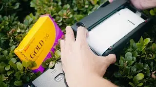 New Medium Format Kodak Gold 200 Film | First Impressions