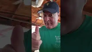Flora-Bama Yacht Club: Blackened Triple Tail & Best Beach Desserts #shorts #florabamayachtclub