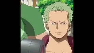 one piece zoro training