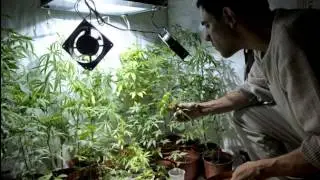 Ession - Marihuana (Tom Sawyer Remix V2)